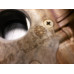 100H102 Engine Timing Cover For 95-99 Nissan Sentra 1.6 100H102 Engine Timing Cover For 95-99 Nissan Sentra 1.6